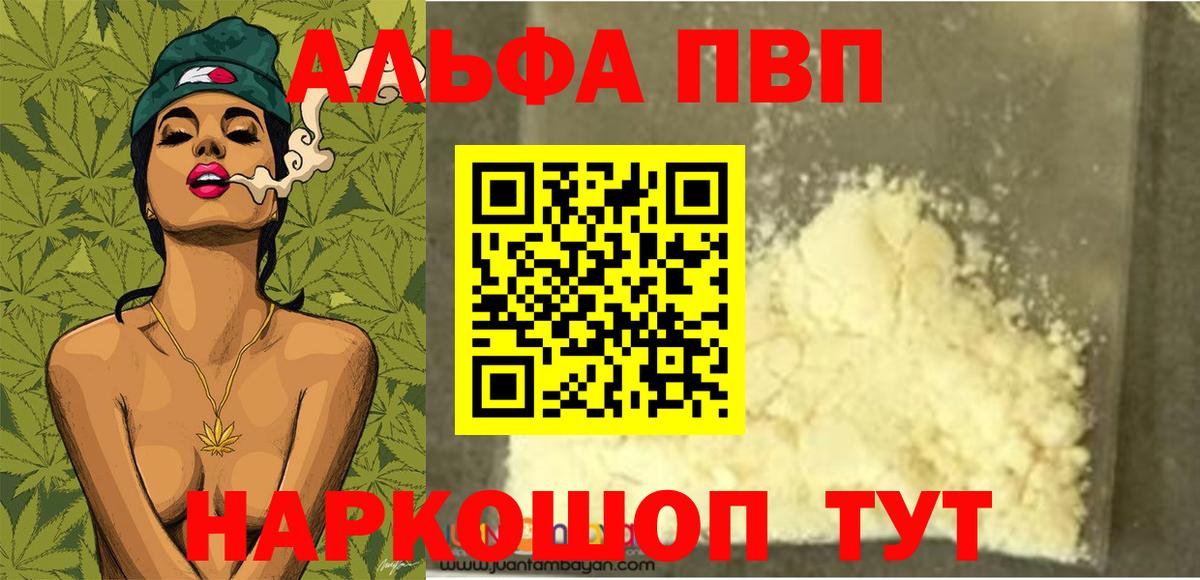 A PVP СК Рубцовск