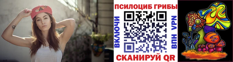 где купить наркотик  Рубцовск  Галлюциногенные грибы Psilocybe 