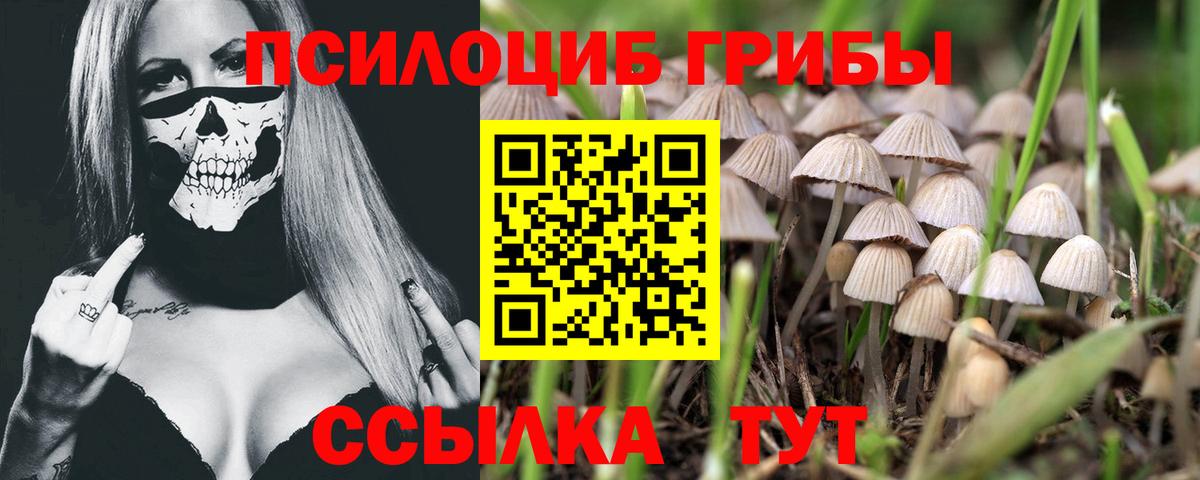 Псилоцибиновые грибы Magic Shrooms Рубцовск