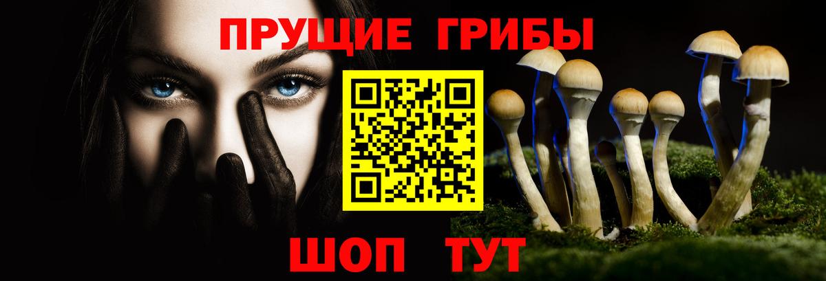 Галлюциногенные грибы Psilocybine cubensis  Вход с VPN  Рубцовск  Псилоцибиновые грибы прущие грибы 